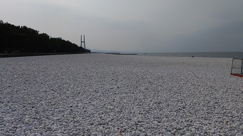 KIMG20260216_130218970