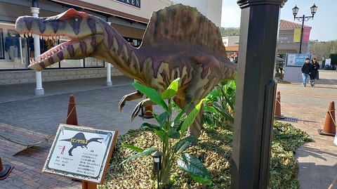 KIMG20260119_121548927