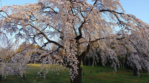 KIMG20260327_062712342