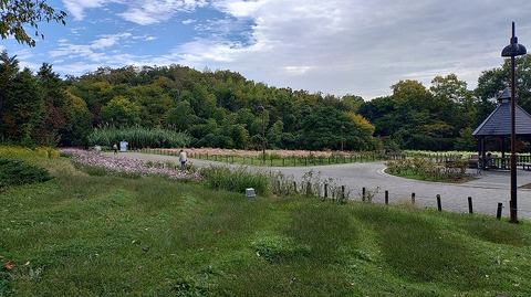 KIMG20251112_111044032