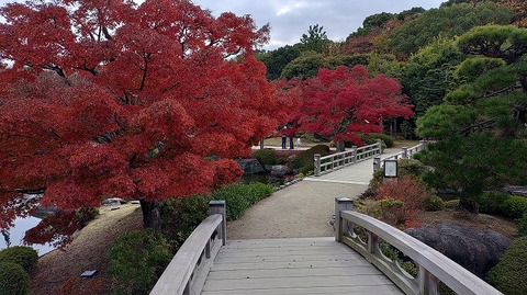 KIMG20251203_102235926