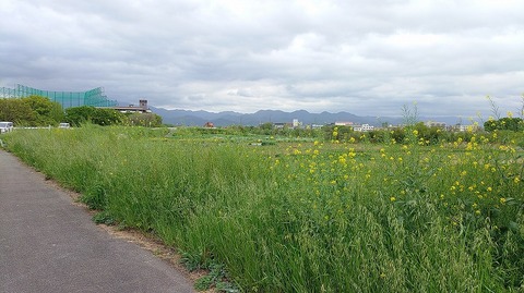KIMG20260415_075016776