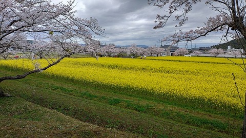 KIMG20260331_104555354