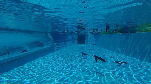 KIMG20251008_105241013