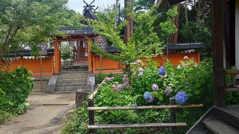 KIMG20260618_100047442