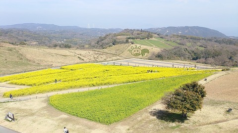 KIMG20260324_120915347