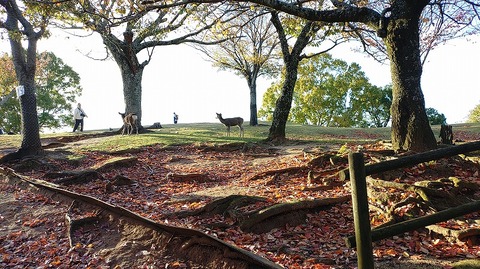 KIMG20251119_152307378