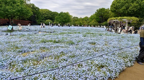 KIMG20260422_102048718