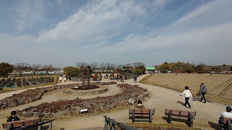 KIMG20260224_124441056