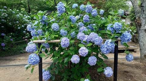 KIMG20260618_101006764