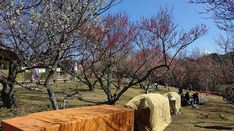 KIMG20260218_124434748