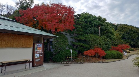 KIMG20251203_102002762