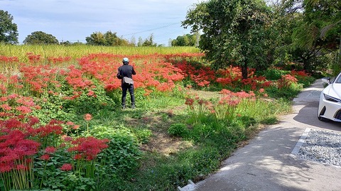 KIMG20251002_111140766