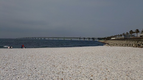 KIMG20260216_130224978