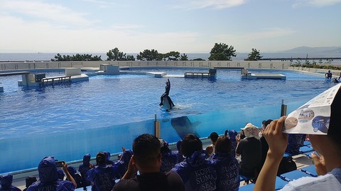 KIMG20251008_114259782