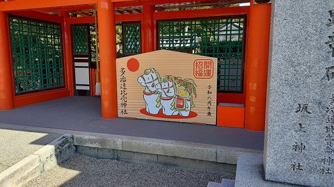 KIMG20260219_122220224