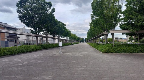 KIMG20260618_113158754