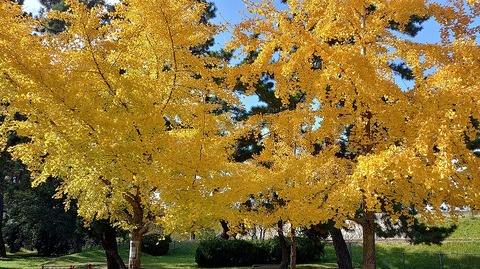 KIMG20251128_124632597