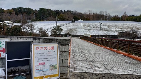 KIMG20260209_111939270