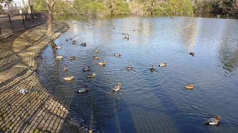 KIMG20260301_083330255