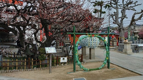 KIMG20260302_122602835