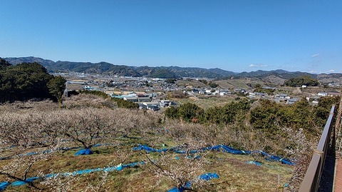 KIMG20260218_124215653