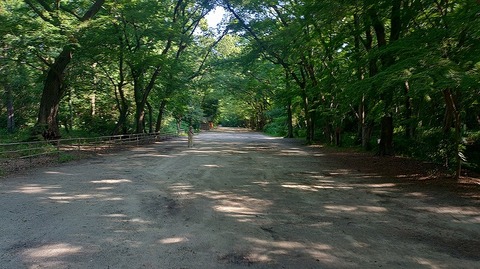 KIMG20260611_074828992