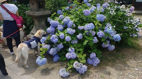 KIMG20260618_095832975