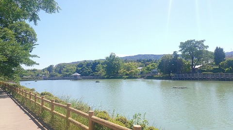 KIMG20260530_140400980