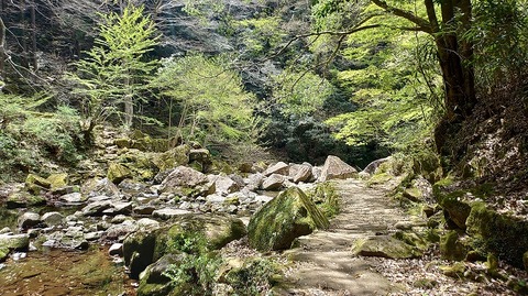 KIMG20260417_122209715