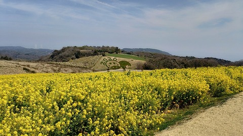 KIMG20260324_115010849