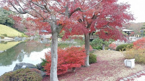 KIMG20251203_102035496