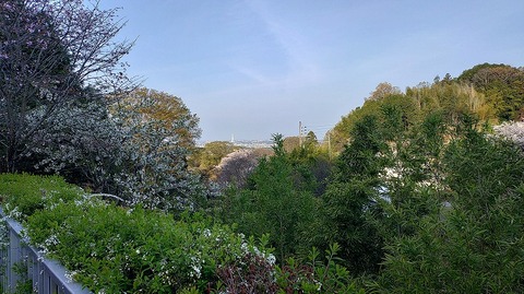 KIMG20260403_071338824