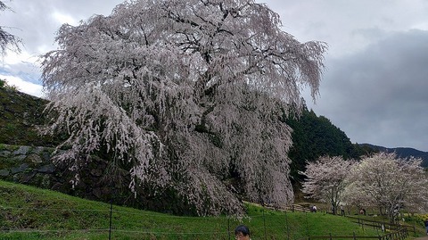 KIMG20260331_112614283