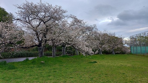 KIMG20260402_062713537