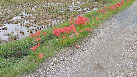 KIMG20260930_113408130
