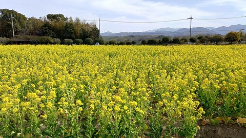 KIMG20260224_123319755