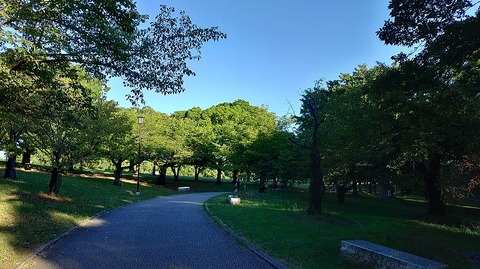 KIMG20260807_061137041