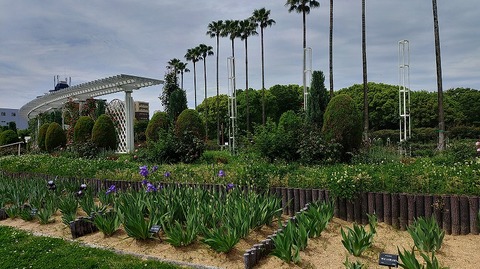 KIMG20260422_101728479