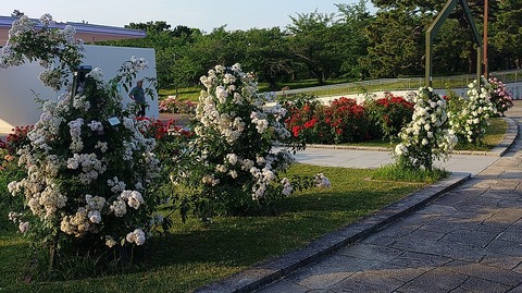 KIMG20260519_061417328