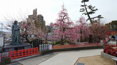 KIMG20260302_122554787