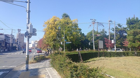 KIMG20251108_111945716