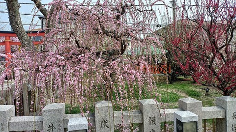 KIMG20260302_123721797