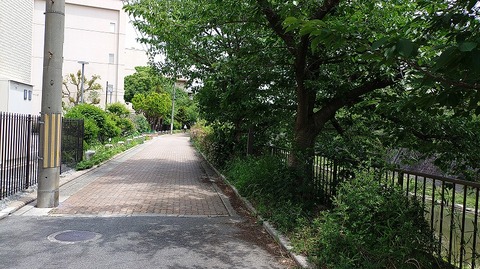 KIMG20260606_125238271