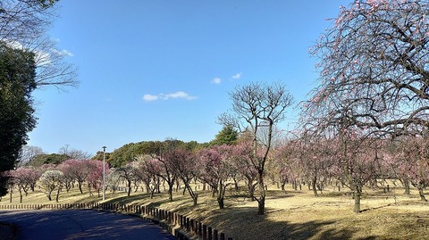 KIMG20260219_121934061