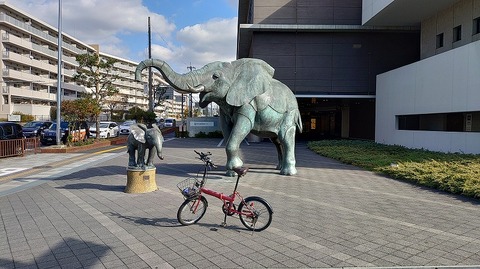 KIMG20251209_123924504