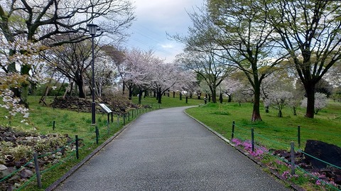 KIMG20260402_064010344