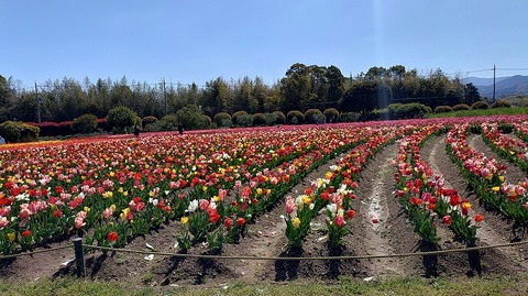 KIMG20260408_100020132