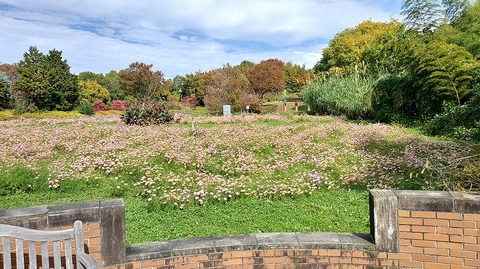 KIMG20251112_110934288