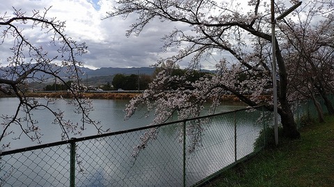 KIMG20260331_104747112